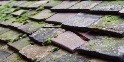 Old Windsor roof repair costs